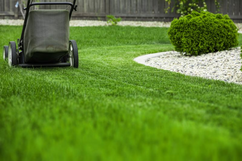Lawn Mowing and Trimming