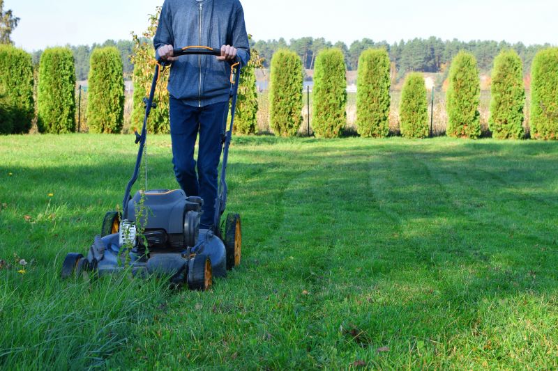 Experienced Lawn Care Professionals