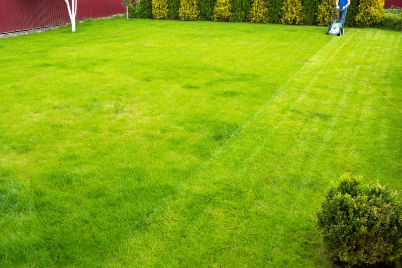 Landscaping and Lawn Maintenance Companies
