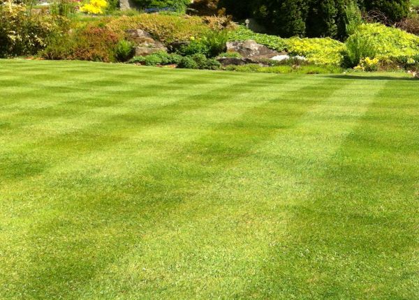 Commercial Grass Cutting in Eagle