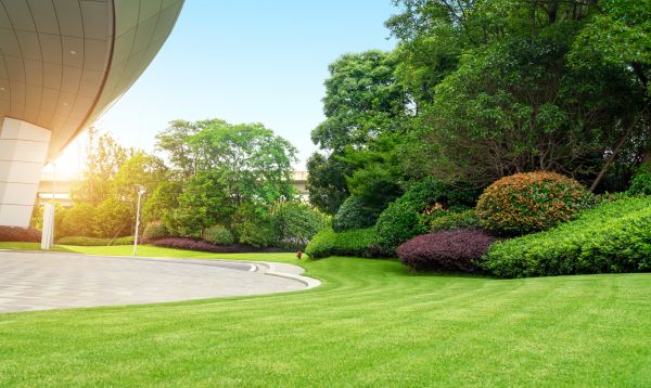 Commercial Lawn Mowing in Eagle