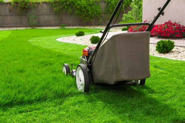 Home Yard Maintenance in Eagle
