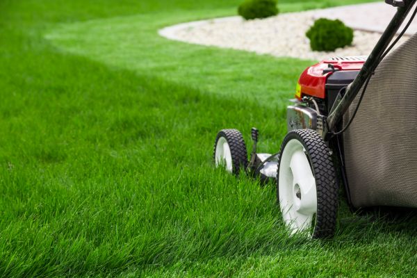 Lawn Cutting Service in Eagle