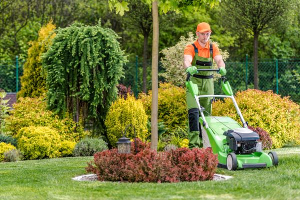 Yard Service in Eagle