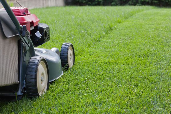 Residential Lawn Care in Eagle