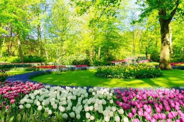 Spring Lawn Care in Eagle