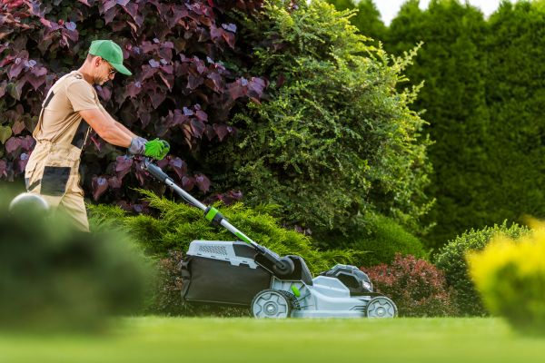 Lawn Management in Eagle