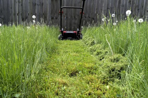 High Grass Mowing in Eagle