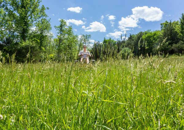 Long Grass Mowing in Eagle
