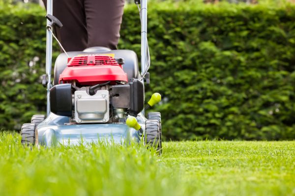 Grass Trimming Service in Eagle