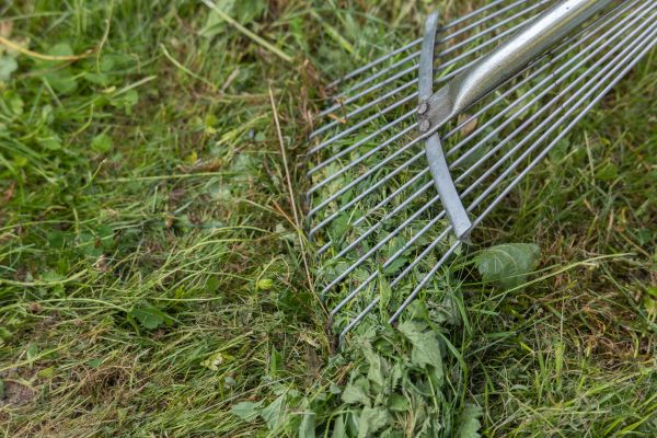 Thatch Raking in Eagle