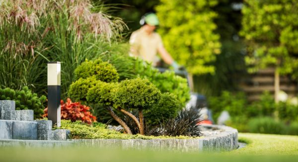 Residential Yard Maintenance in Eagle