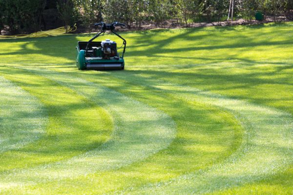 Business Lawn Mowing in Eagle
