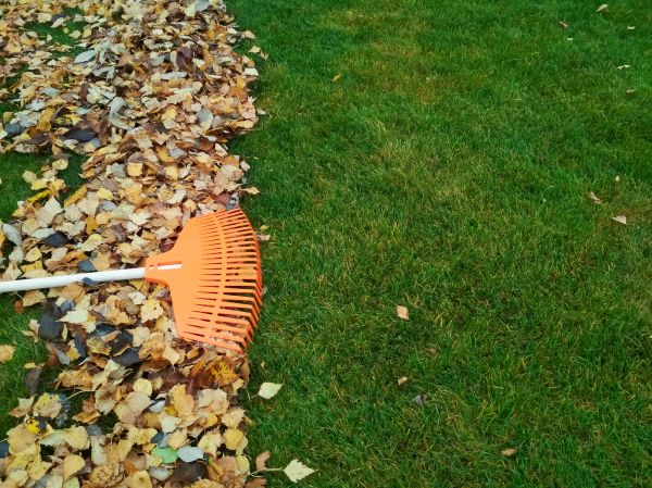 Fall Lawn Care in Eagle