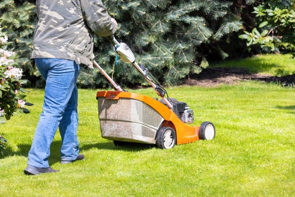 Springtime Lawn Care in Eagle